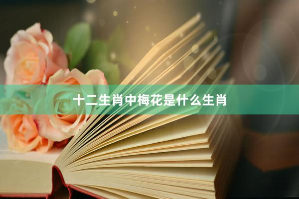 十二生肖中梅花是什么生肖
